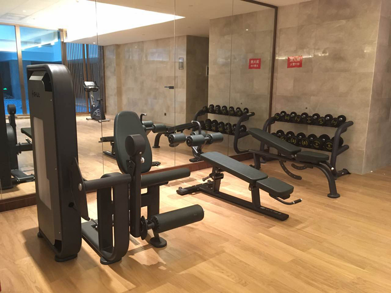 酒店健身房器材,室内健身器材,高端商用健身器材-广西haobotiyu-好博健身器材有限公司