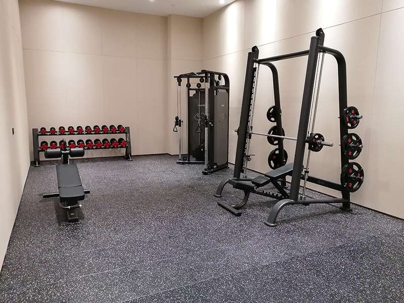 酒店健身房器材,室内健身器材,高端商用健身器材-广西haobotiyu-好博健身器材有限公司